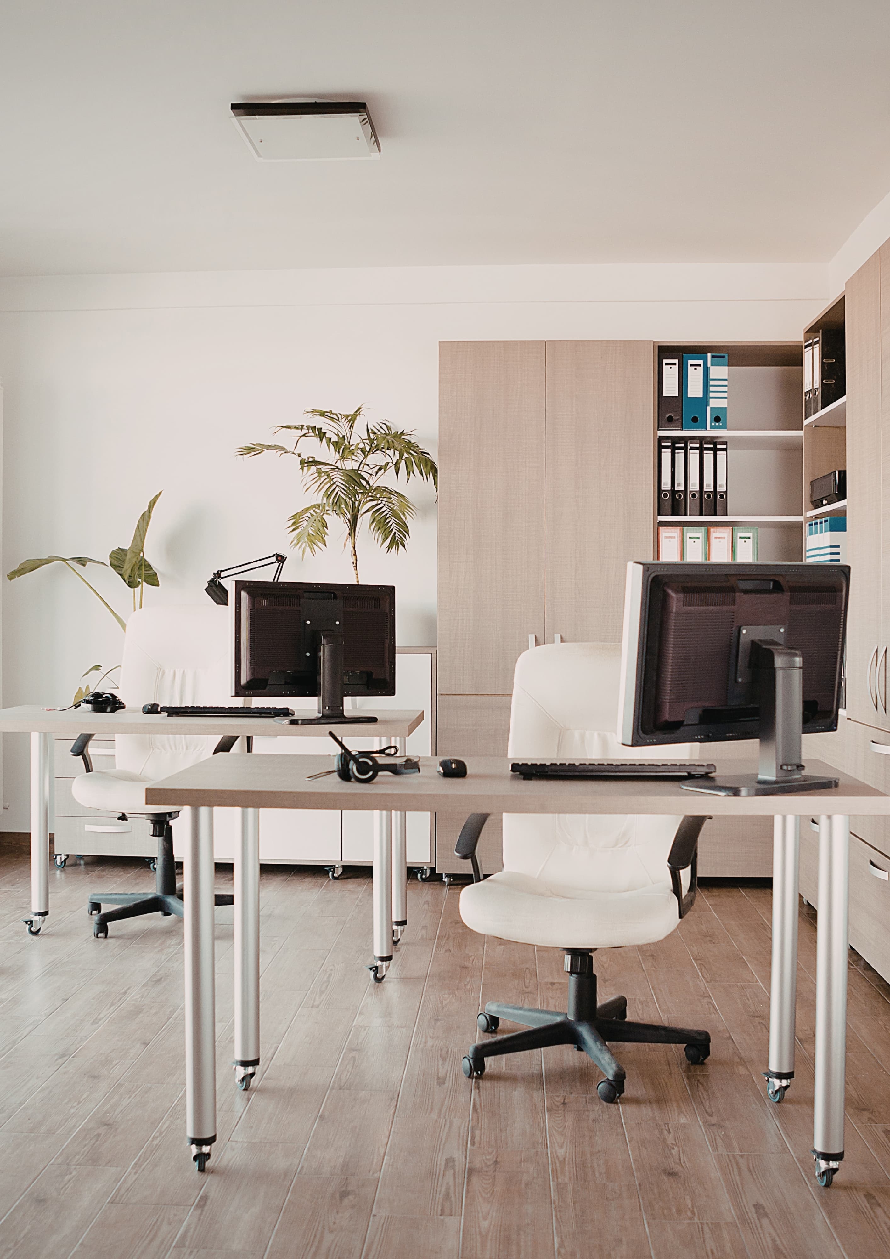 Studio culture highlight